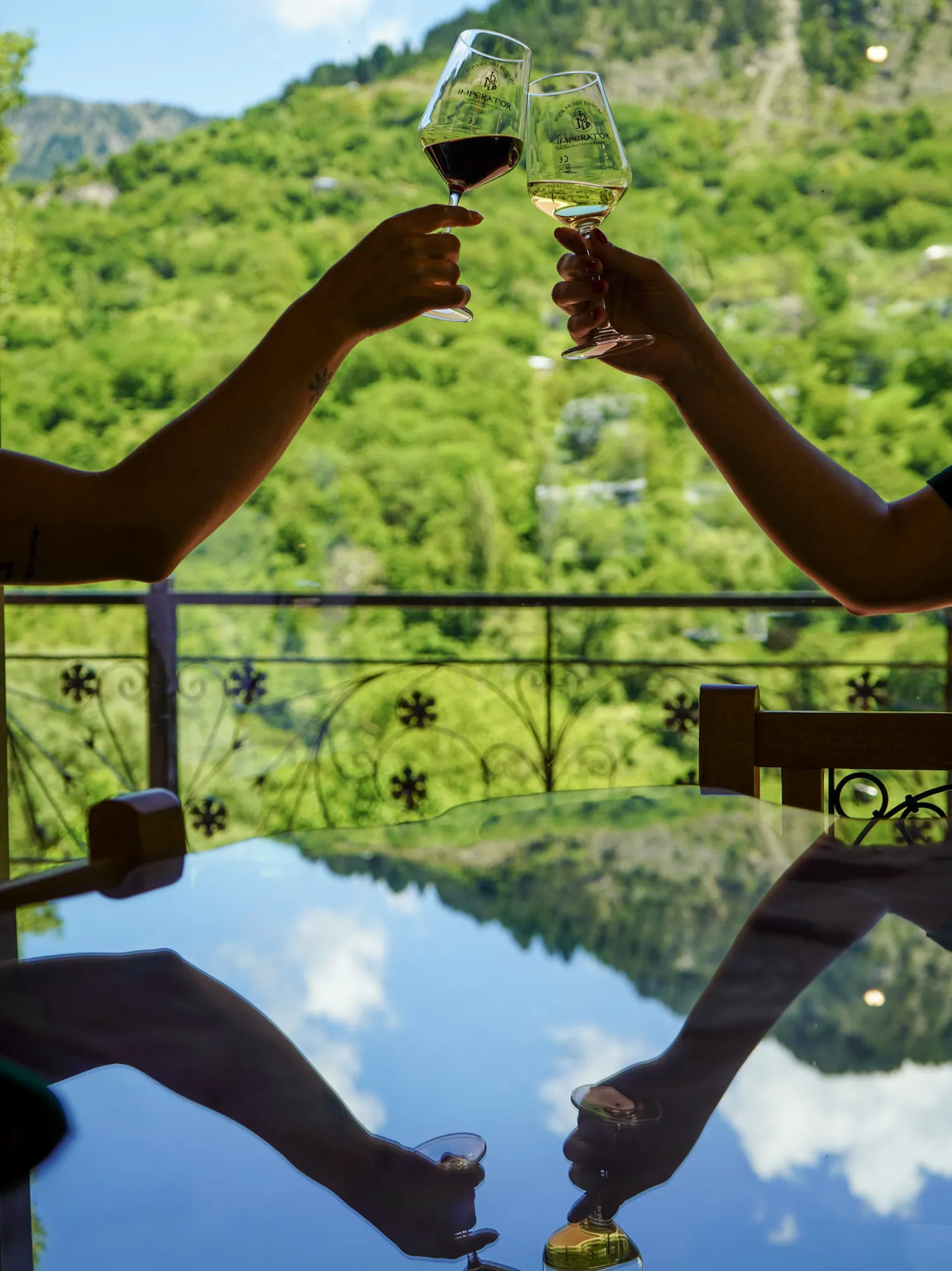 Wine tasting with a view over Metsovo
